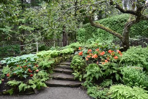 A garden path in summer Stock Photos