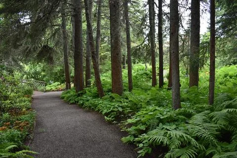 A garden path in summer Stock Photos