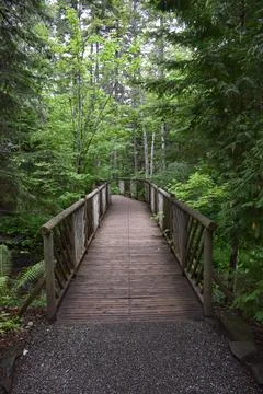A garden path in summer Stock Photos