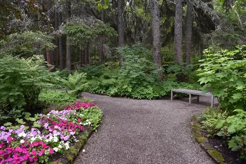 A garden path in summer Stock Photos