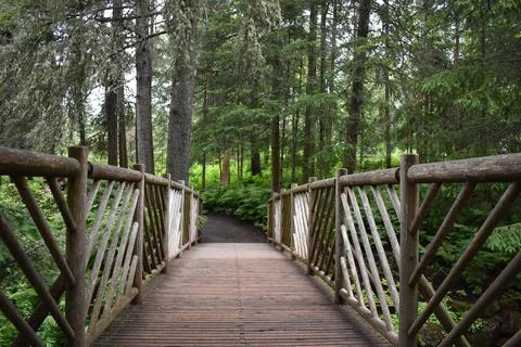 A garden path in summer Stock Photos