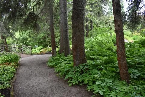 A garden path in summer Stock Photos