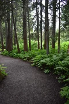 A garden path in summer Stock Photos