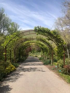 Garden path under an arched trellis with green vines in Utah Foto stock