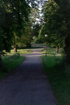 Garden Path (Universitetet) Stock Photos
