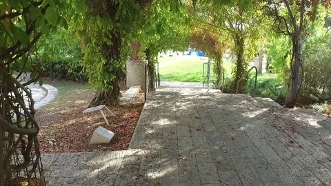 Garden Path Walk Stock Footage 78692625
