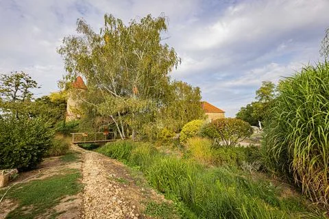 Garden path winding through dense ornamental planting at Chateau de Ribourd.. Stock Photos