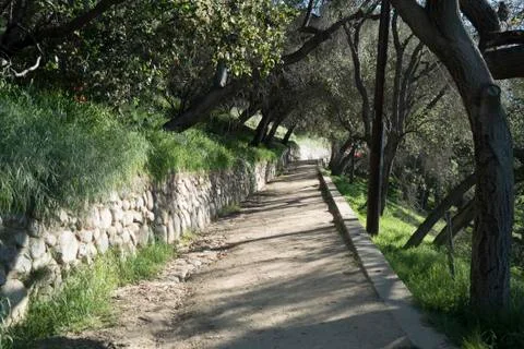 Garden Pathway Among the Trees 2 Stock Photos