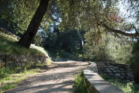 Garden Pathway Among the Trees Stock Photos