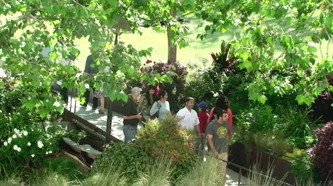 Garden Pathway Stock Footage 462621