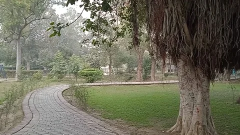 Garden pathway Stock Footage 146352597