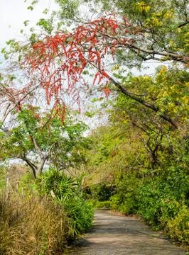 Garden pathway Stock Photos