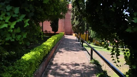 Garden Pathway Through Lush Hedges And Ivy Stock Footage 346114039