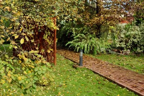 Garden paving path in the backyard 写真素材