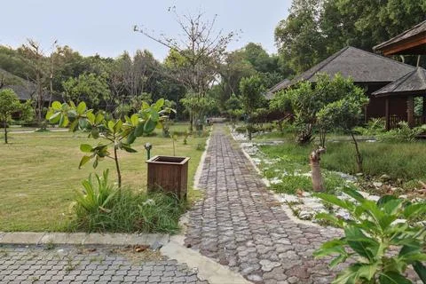 Garden with paving Stock Photos