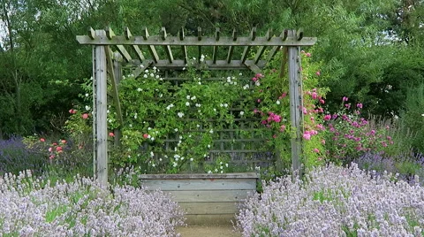 Garden pergola Stock Footage 52790333