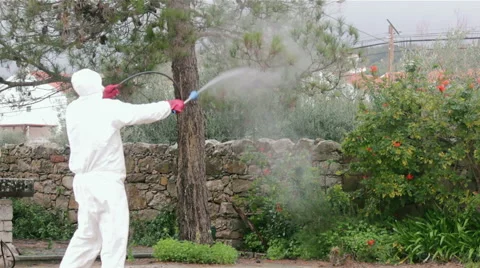 Garden Pest Control - Pine Tree and floor Insecticide Spray  (Shot 2) Stock Footage 53260969