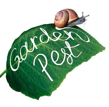 Garden Pest Stock Illustration