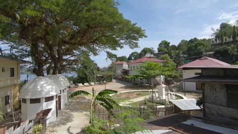 A garden in Philippines 스톡 동영상 109796739