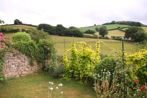 Garden Stock Photos