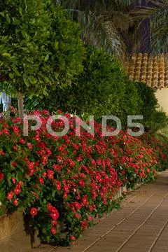 Garden Stock Photos