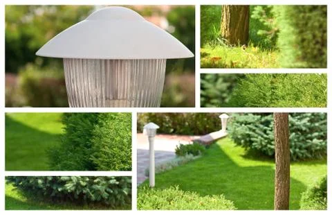 Garden Stock Photos