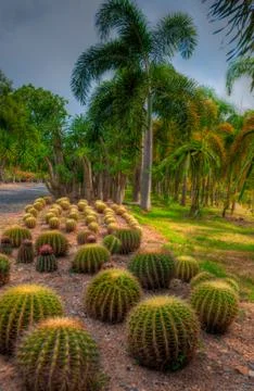Garden Stock Photos