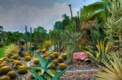 Garden Stock Photos