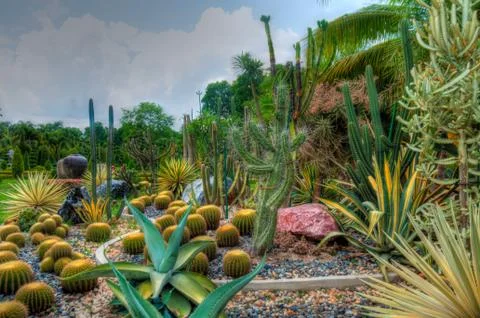 Garden Stock Photos
