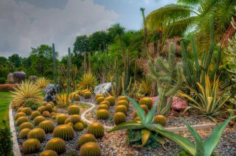 Garden Stock Photos