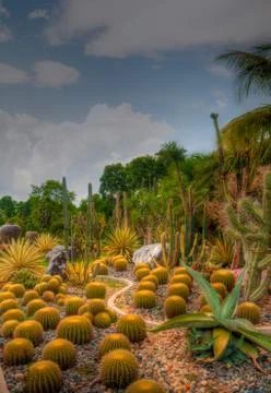 Garden Stock Photos