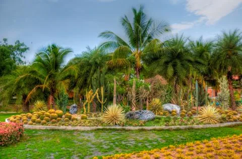 Garden Stock Photos