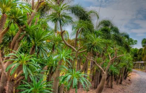 Garden Stock Photos