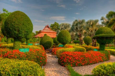 Garden Stock Photos