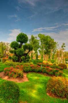 Garden Stock Photos