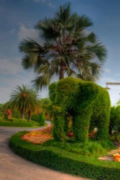 Garden Stock Photos
