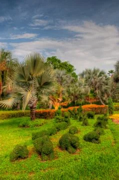 Garden Stock Photos