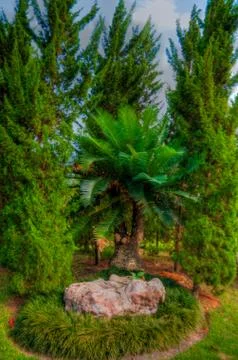 Garden Stock Photos