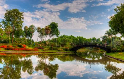 Garden Foto stock