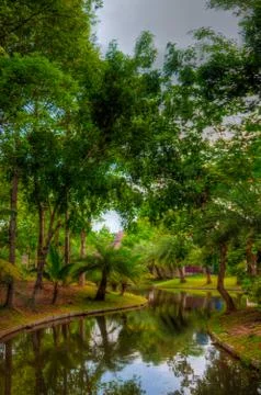 Garden Stock Photos