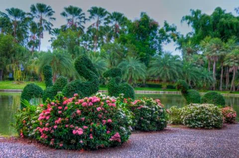 Garden Stock Photos