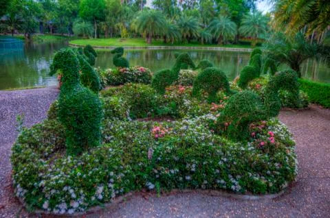 Garden Stock Photos