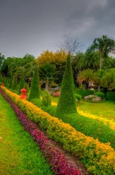 Garden Foto stock