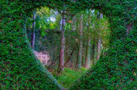 Garden Stock Photos