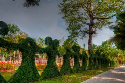 Garden Stock Photos