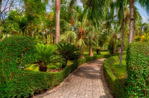 Garden Stock Photos