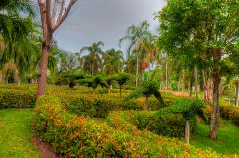 Garden Foto stock