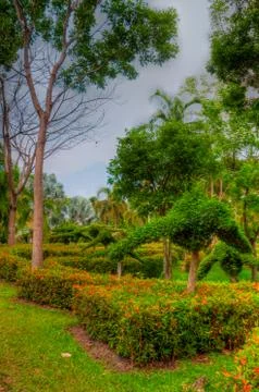 Garden Stock Photos