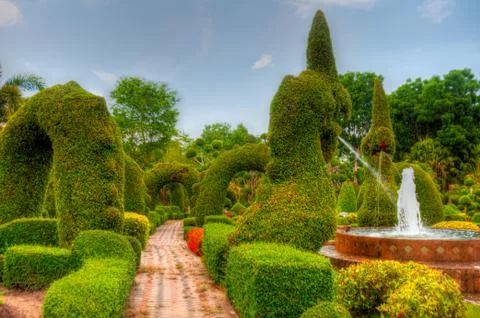 Garden Stock Photos