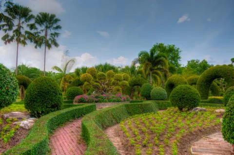 Garden Stock Photos